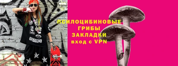 ECSTASY Володарск
