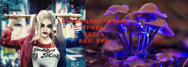 mdpv Верхний Тагил